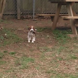 Meet your Posher, Chad